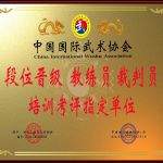 双鸭山国际武术协会